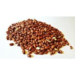 Merk [ 9 ] PREBAITS CARP PINDA'S 2.5 KG